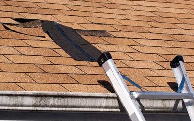 How To Choose The Right Roof Replacement Professional For Your Auckland Home